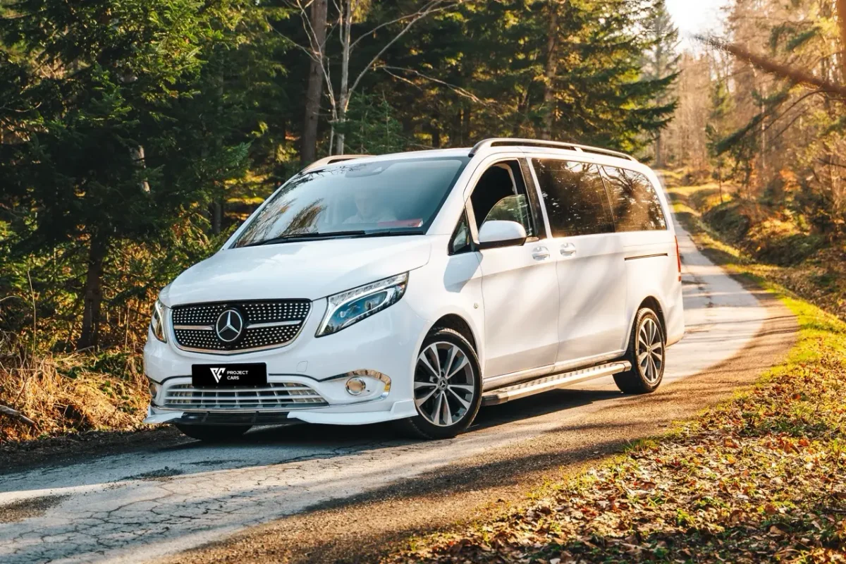 VITO_DSC05594