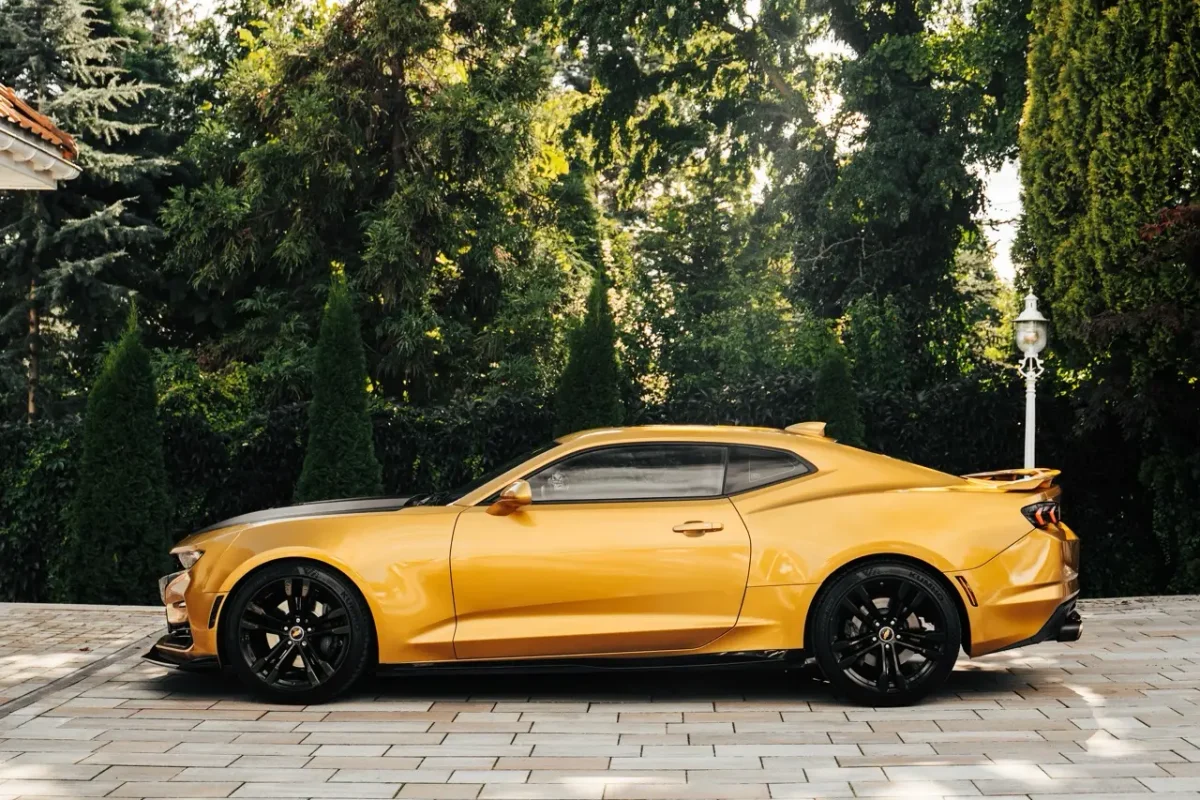 camaro_DSC06317